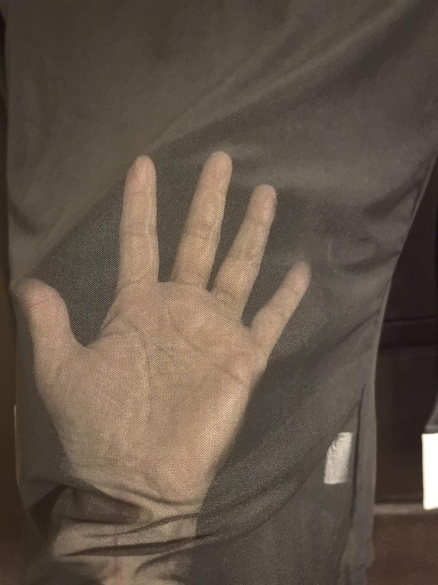 Chic Sheer Mesh Blouse Long Sleeve Attractive T‑Shirt for Women