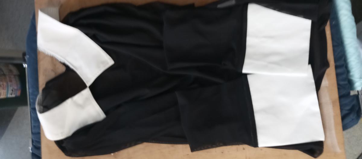 Chic Sheer Mesh Blouse Long Sleeve Attractive T‑Shirt for Women