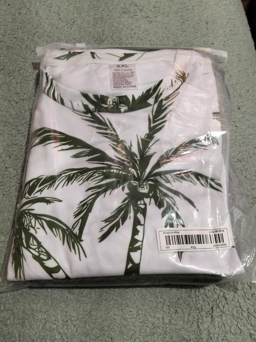 Hawaiian Print T-Shirt and Shorts Set of Two Casual Summer Outfits for Men