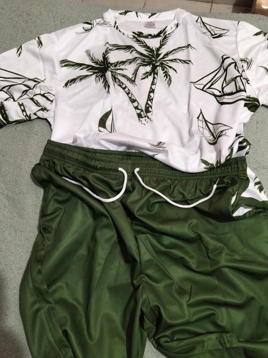 Hawaiian Print T-Shirt and Shorts Set of Two Casual Summer Outfits for Men