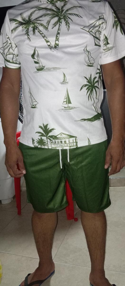 Hawaiian Print T-Shirt and Shorts Set of Two Casual Summer Outfits for Men