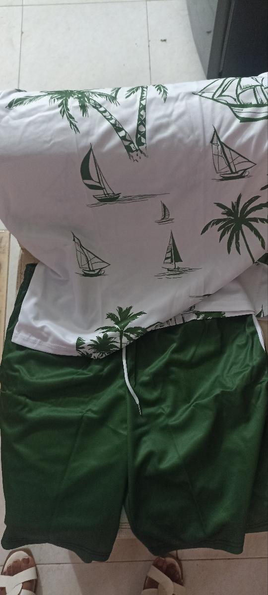 Hawaiian Print T-Shirt and Shorts Set of Two Casual Summer Outfits for Men