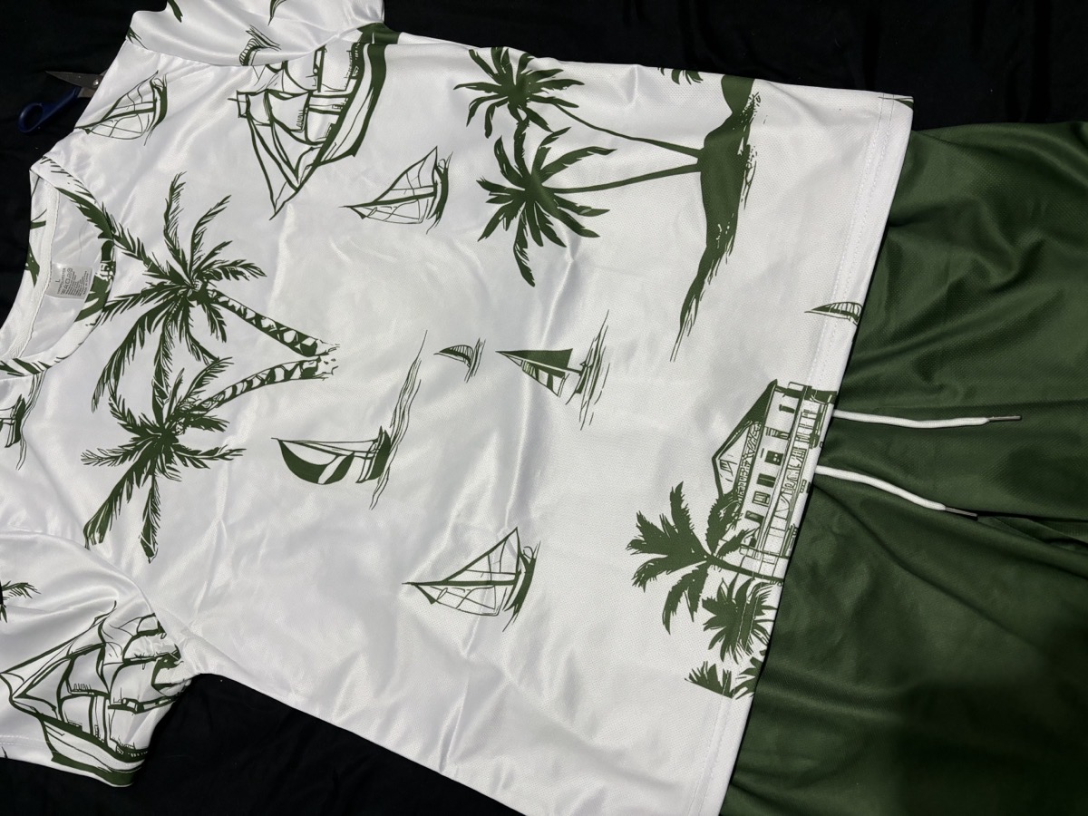 Hawaiian Print T-Shirt and Shorts Set of Two Casual Summer Outfits for Men