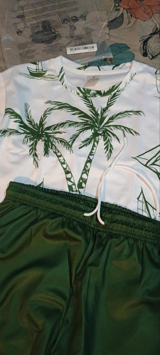 Hawaiian Print T-Shirt and Shorts Set of Two Casual Summer Outfits for Men