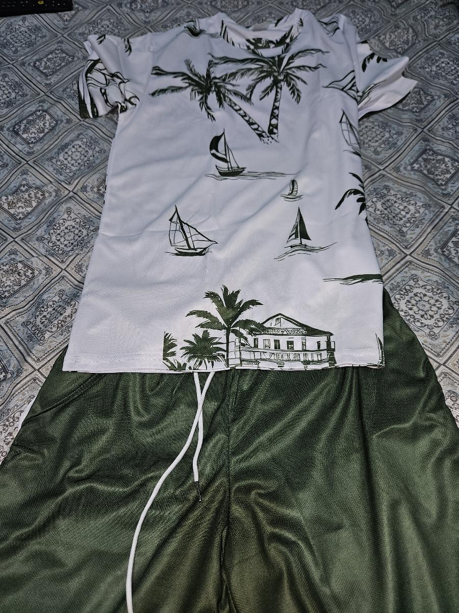 Hawaiian Print T-Shirt and Shorts Set of Two Casual Summer Outfits for Men