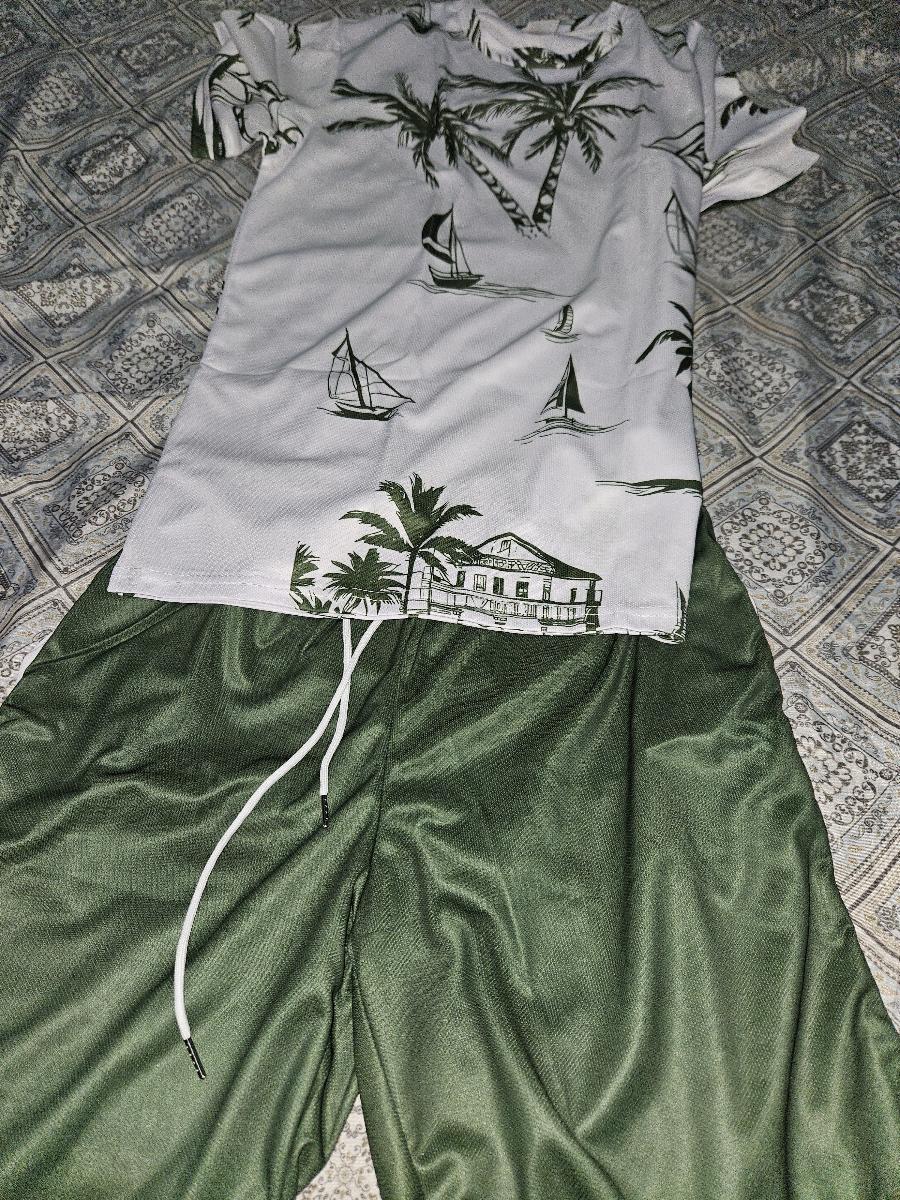 Hawaiian Print T-Shirt and Shorts Set of Two Casual Summer Outfits for Men