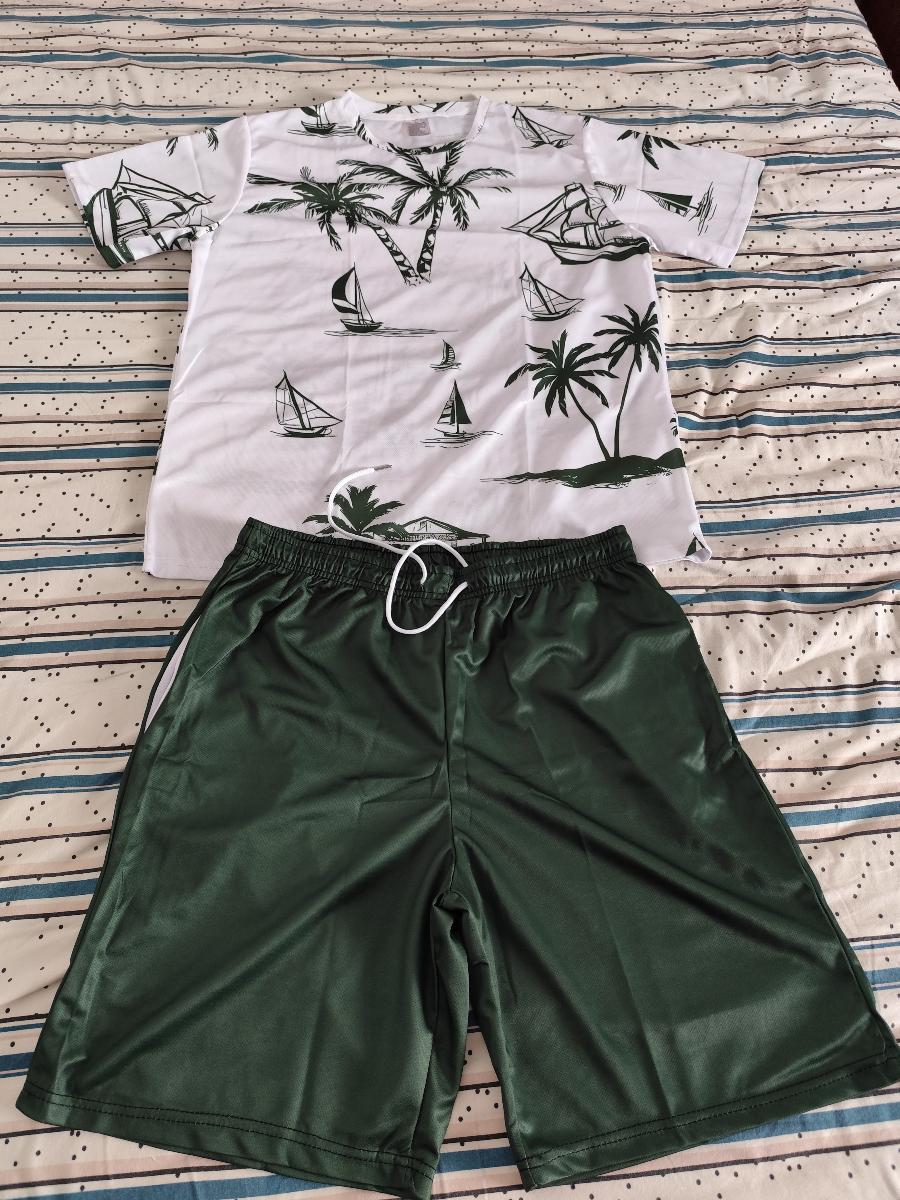 Hawaiian Print T-Shirt and Shorts Set of Two Casual Summer Outfits for Men