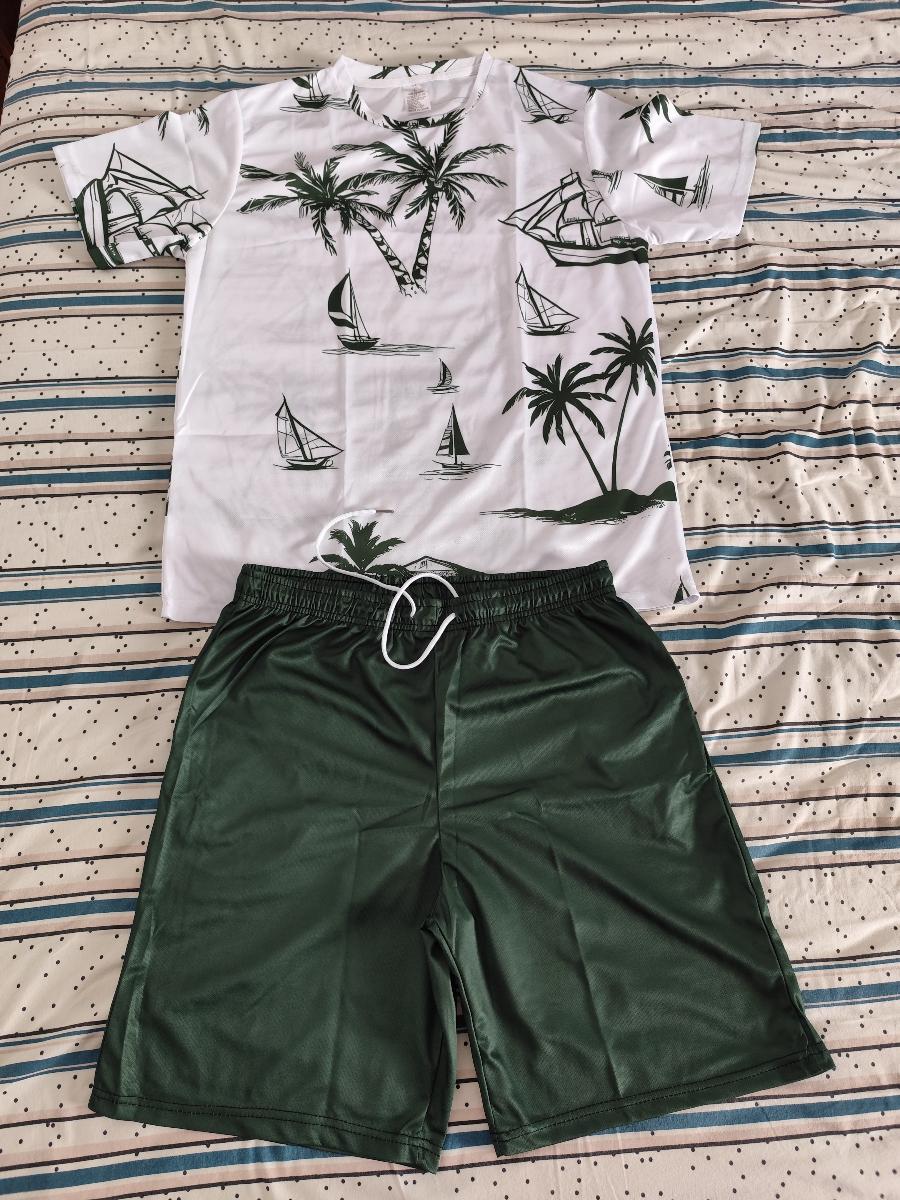 Hawaiian Print T-Shirt and Shorts Set of Two Casual Summer Outfits for Men