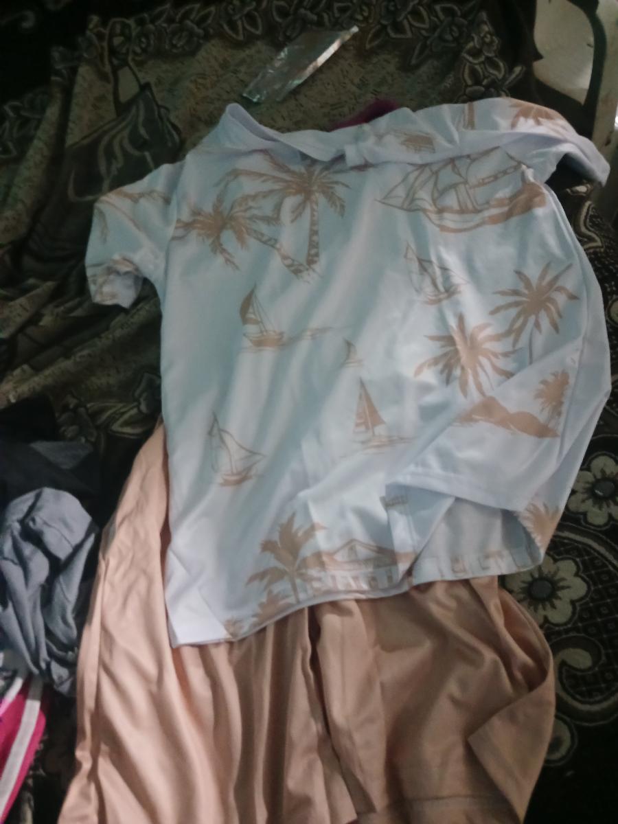 Hawaiian Print T-Shirt and Shorts Set of Two Casual Summer Outfits for Men