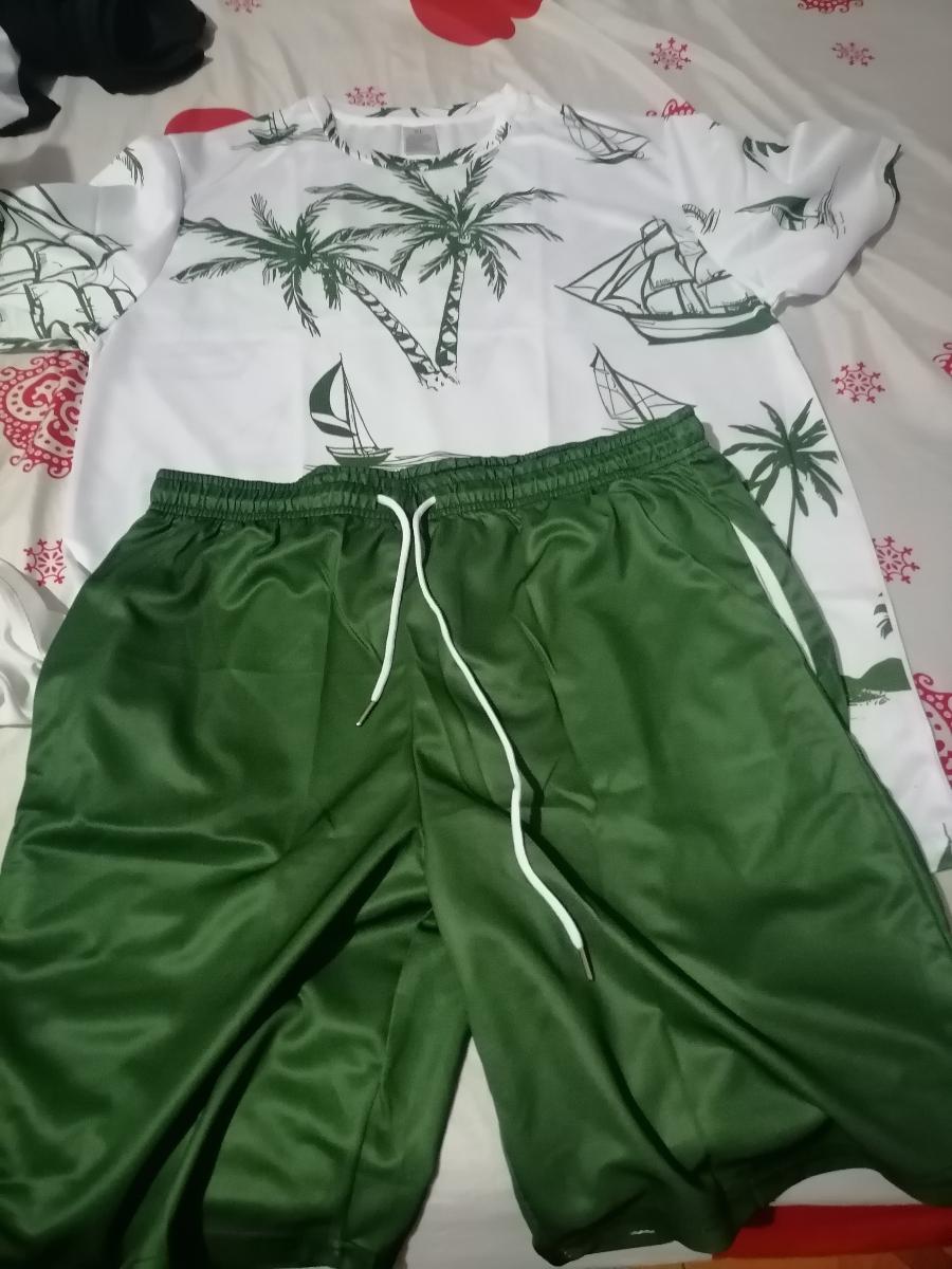 Hawaiian Print T-Shirt and Shorts Set of Two Casual Summer Outfits for Men