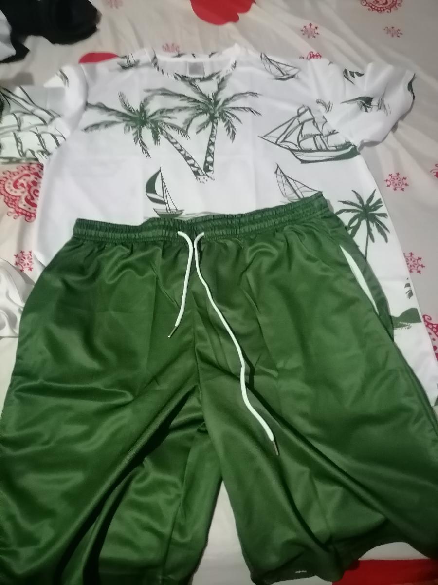 Hawaiian Print T-Shirt and Shorts Set of Two Casual Summer Outfits for Men