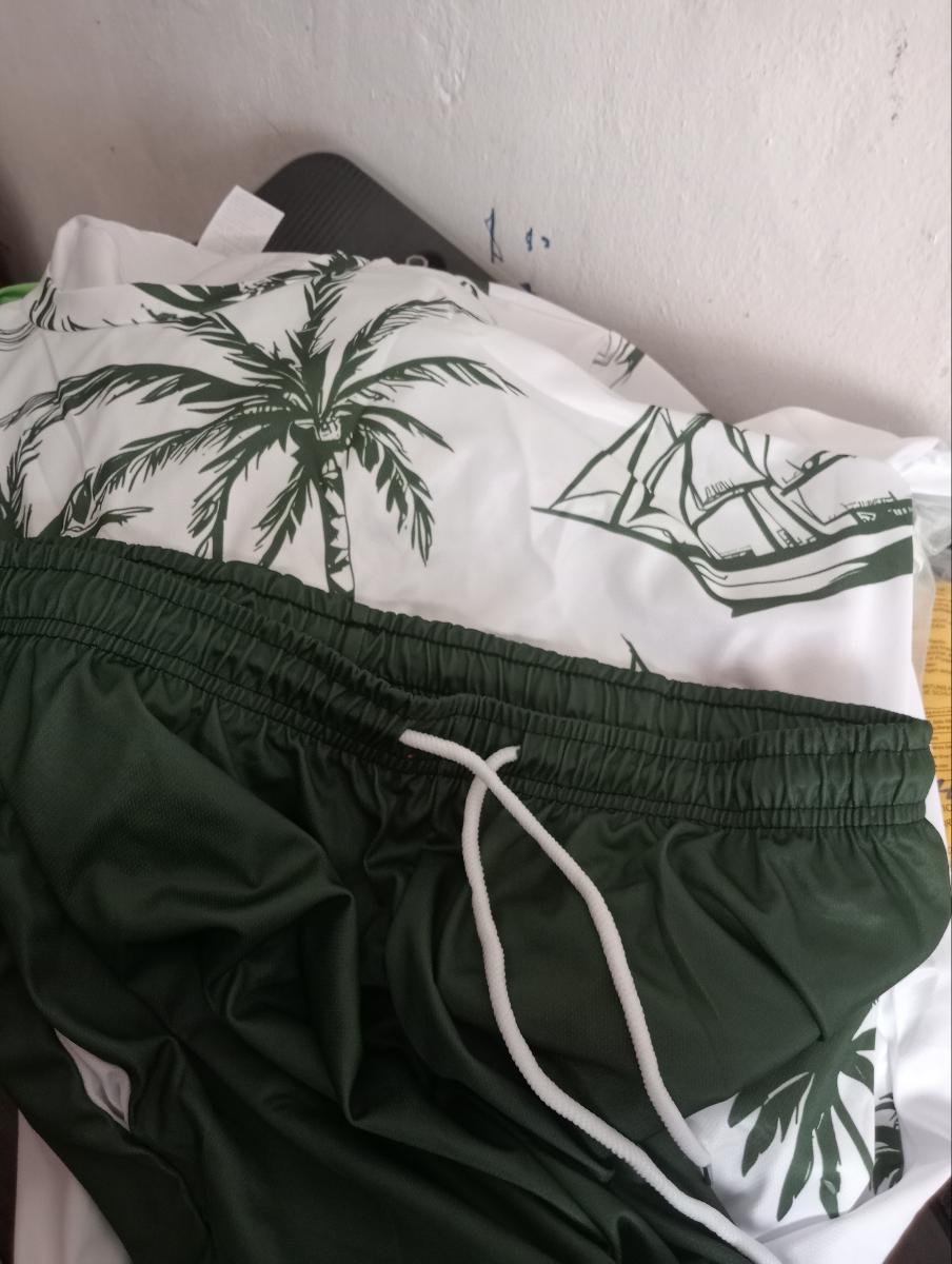 Hawaiian Print T-Shirt and Shorts Set of Two Casual Summer Outfits for Men