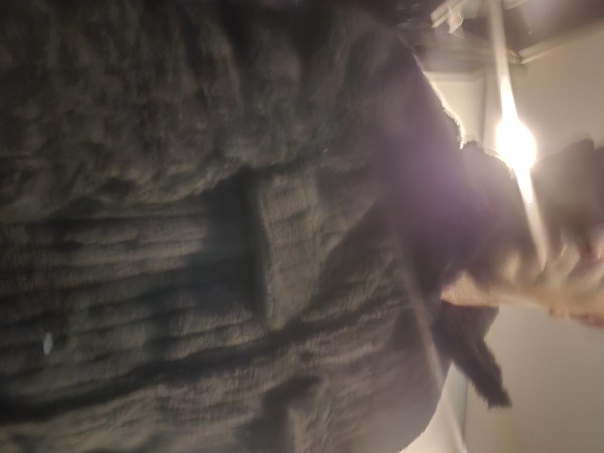 Men Winter Plush Jacket with Luxurious Collar & Soft