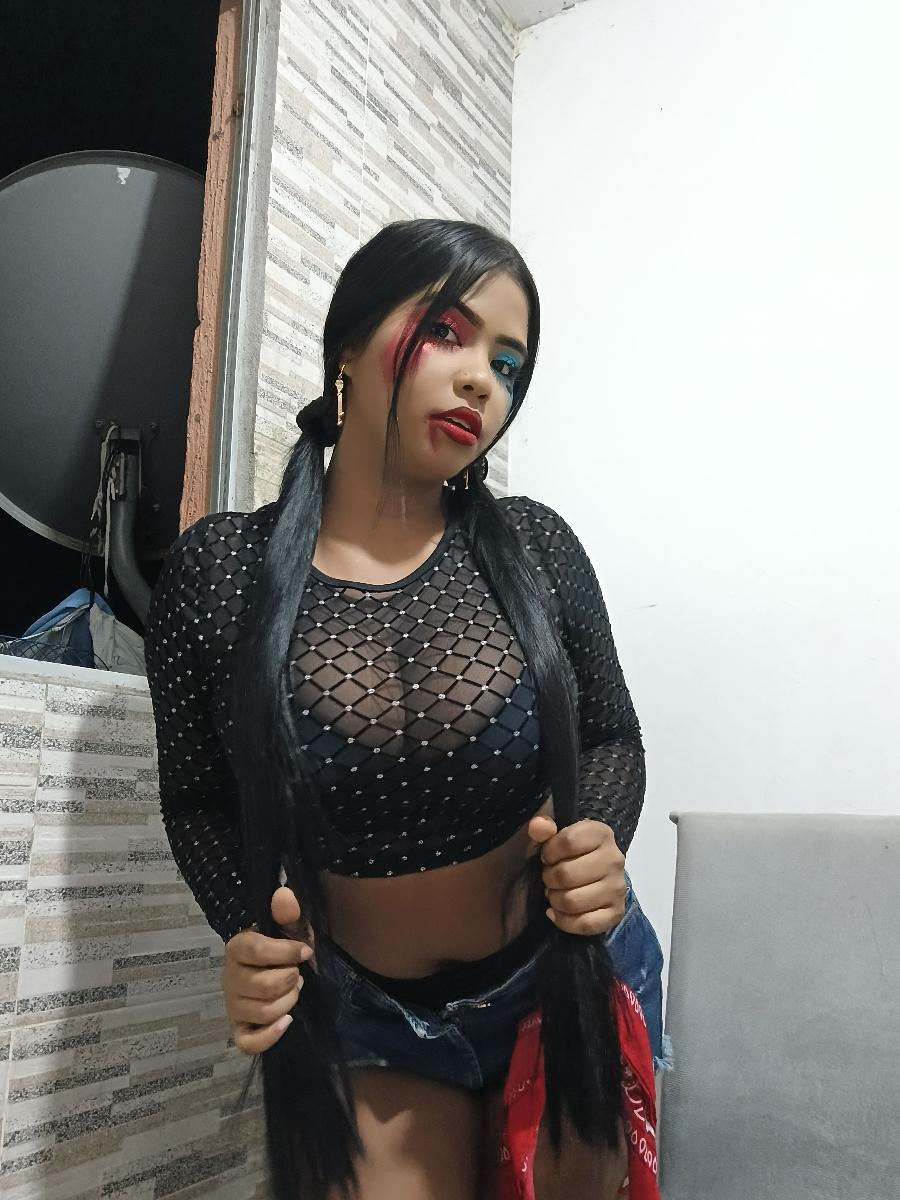 Semi‑Sheer Crop Top for Women Captivating Long Sleeve Black Mesh