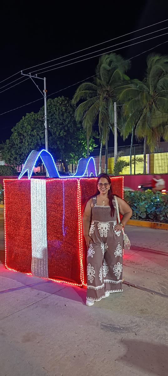 Sleeveless Jumpsuit with Wide Legs and High Waist Plush