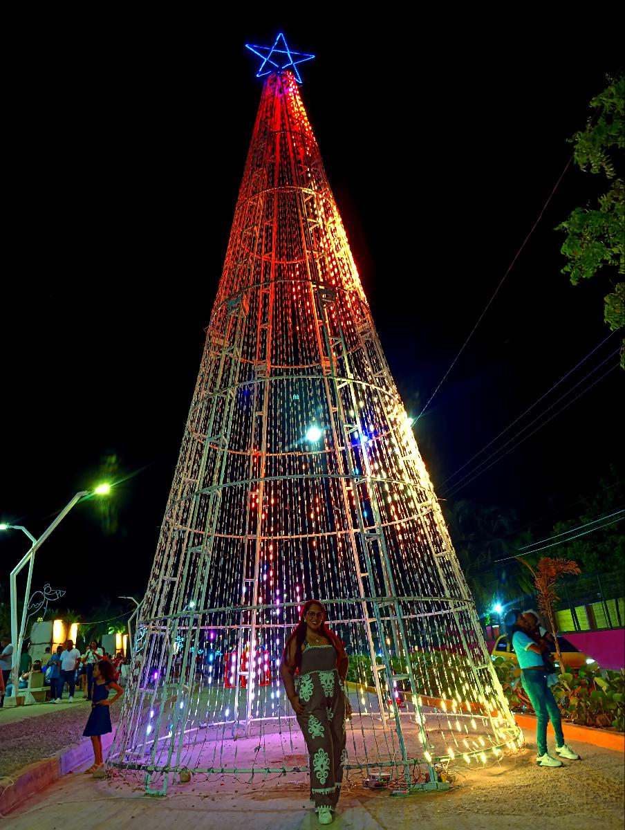 Sleeveless Jumpsuit with Wide Legs and High Waist Plush